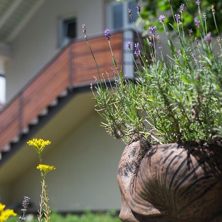 Apartment Kalimero Otočac Zewnętrze zdjęcie